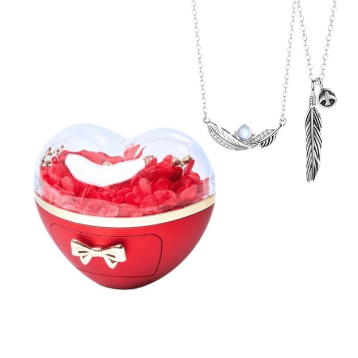 Love Rose S925 I Couple Feather Pendant Pigeon Feather Moonstone Necklace For Couples Gift Sets