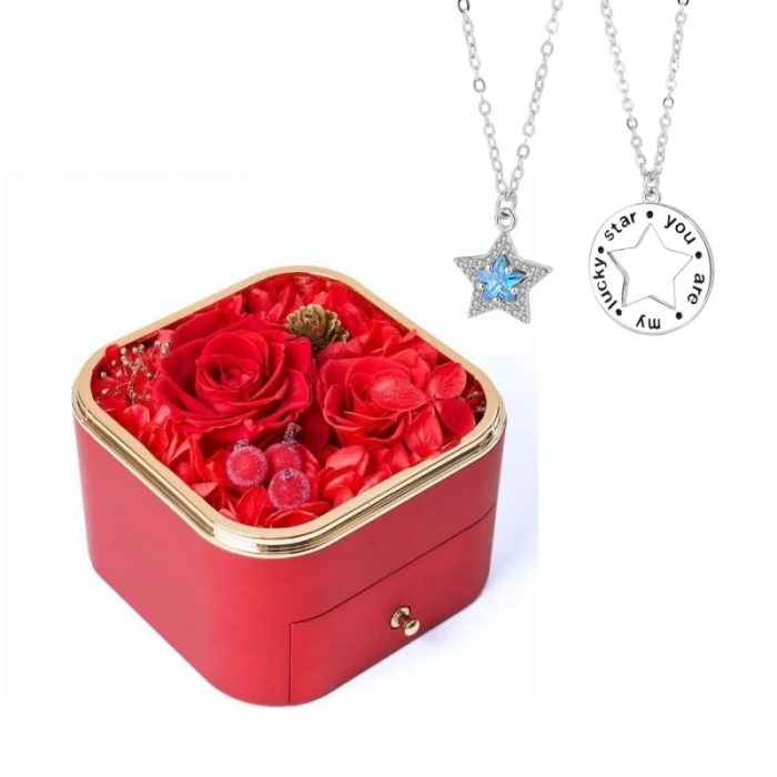 Eternal Rose S925 I You Are My Lucky Star Necklace For Couples Gift Sets