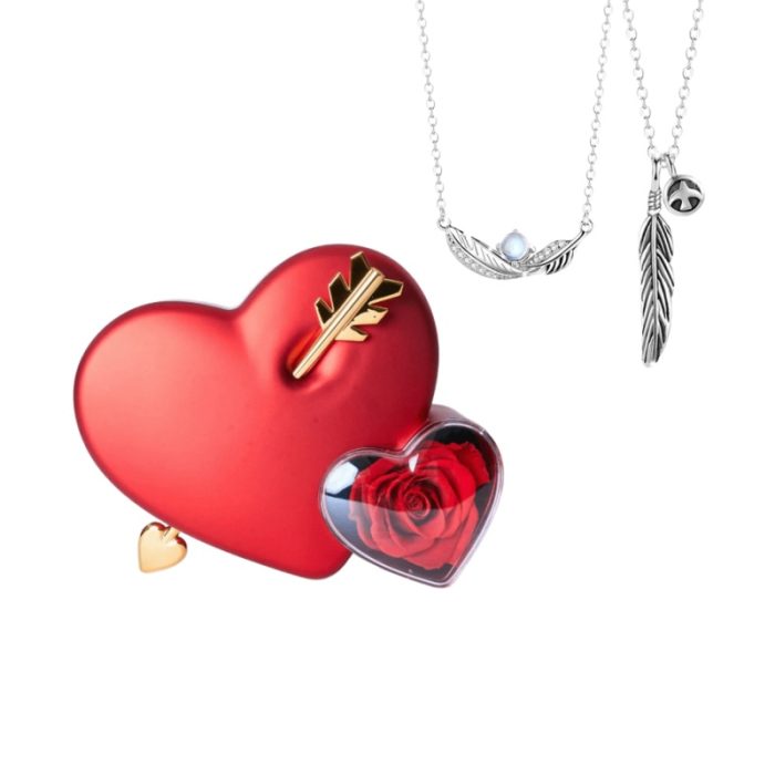 Cupids Arrow S925 I Couple Feather Pendant Pigeon Feather Moonstone Necklace For Couples Gift Sets